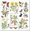 Zestaw papierów do scrapbookingu - Herbarium